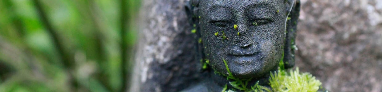 Ein steinernes Buddhagesicht mit Moos bewachsen
